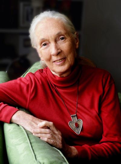 Jane Goodall sitting on a green couch wearing a red shirt and necklace with a large pendant